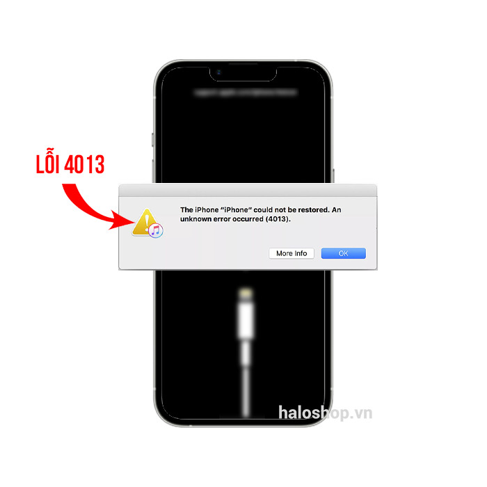 iPhone 13 Pro Max Lỗi 4013
