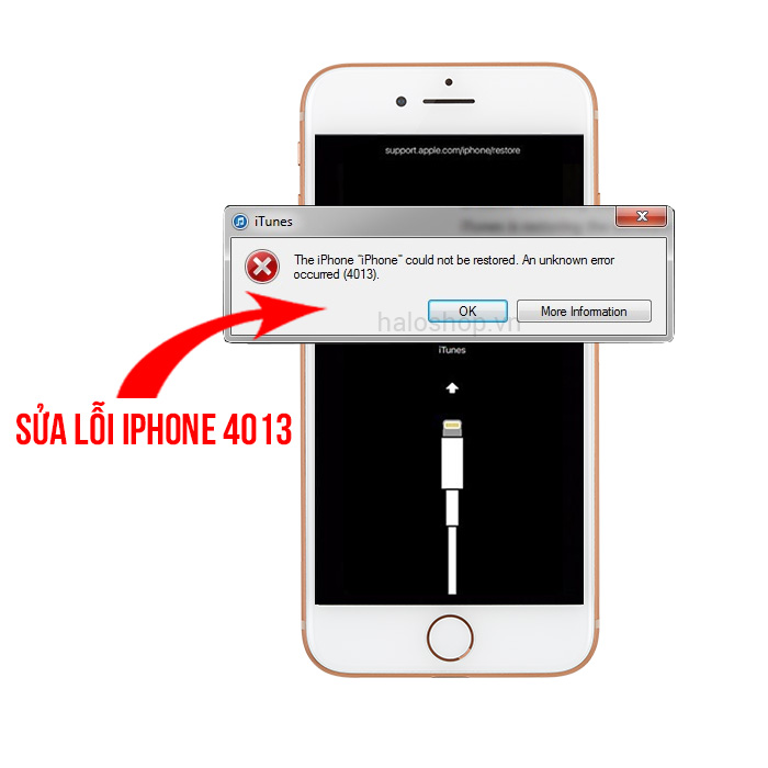 iPhone 7 Lỗi 4013