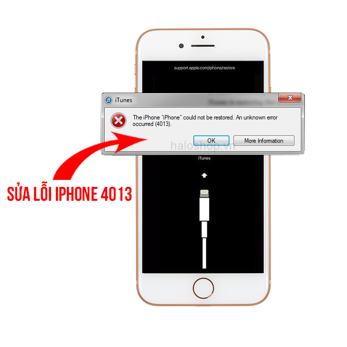 iPhone 8 Plus Lỗi 4013