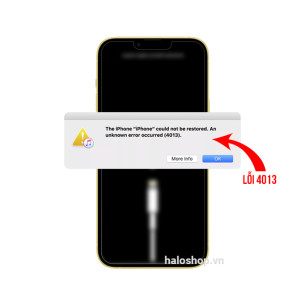 iPhone 14 Lỗi 4013