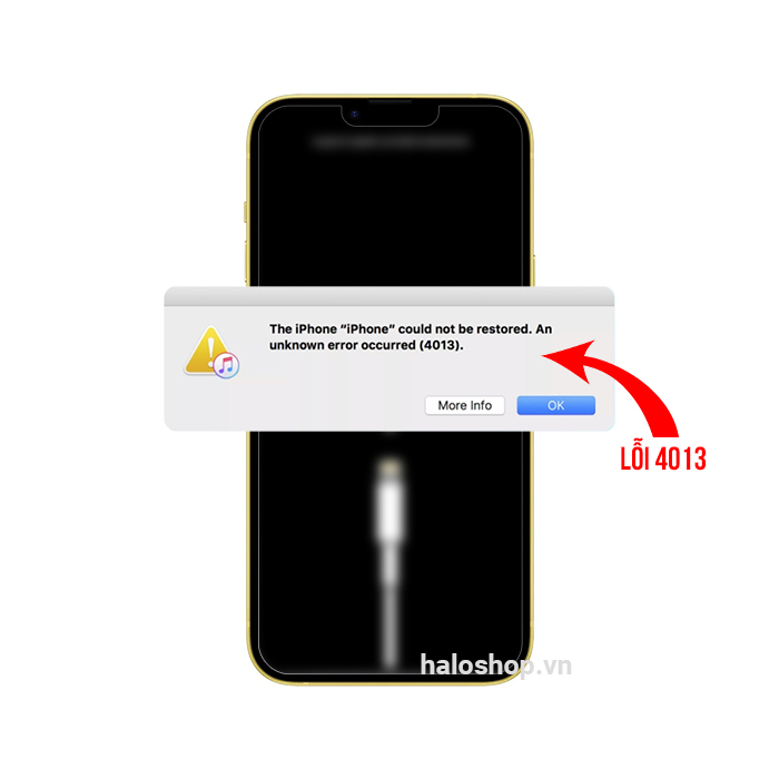 iPhone 14 Lỗi 4013
