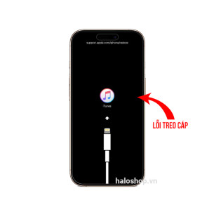 iPhone 16 Plus Lỗi Treo Cáp