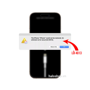 iPhone 16 Pro Max Lỗi 4013