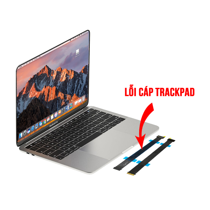 MacBook Pro 15" Model A1990 Lỗi Cáp Trackpad